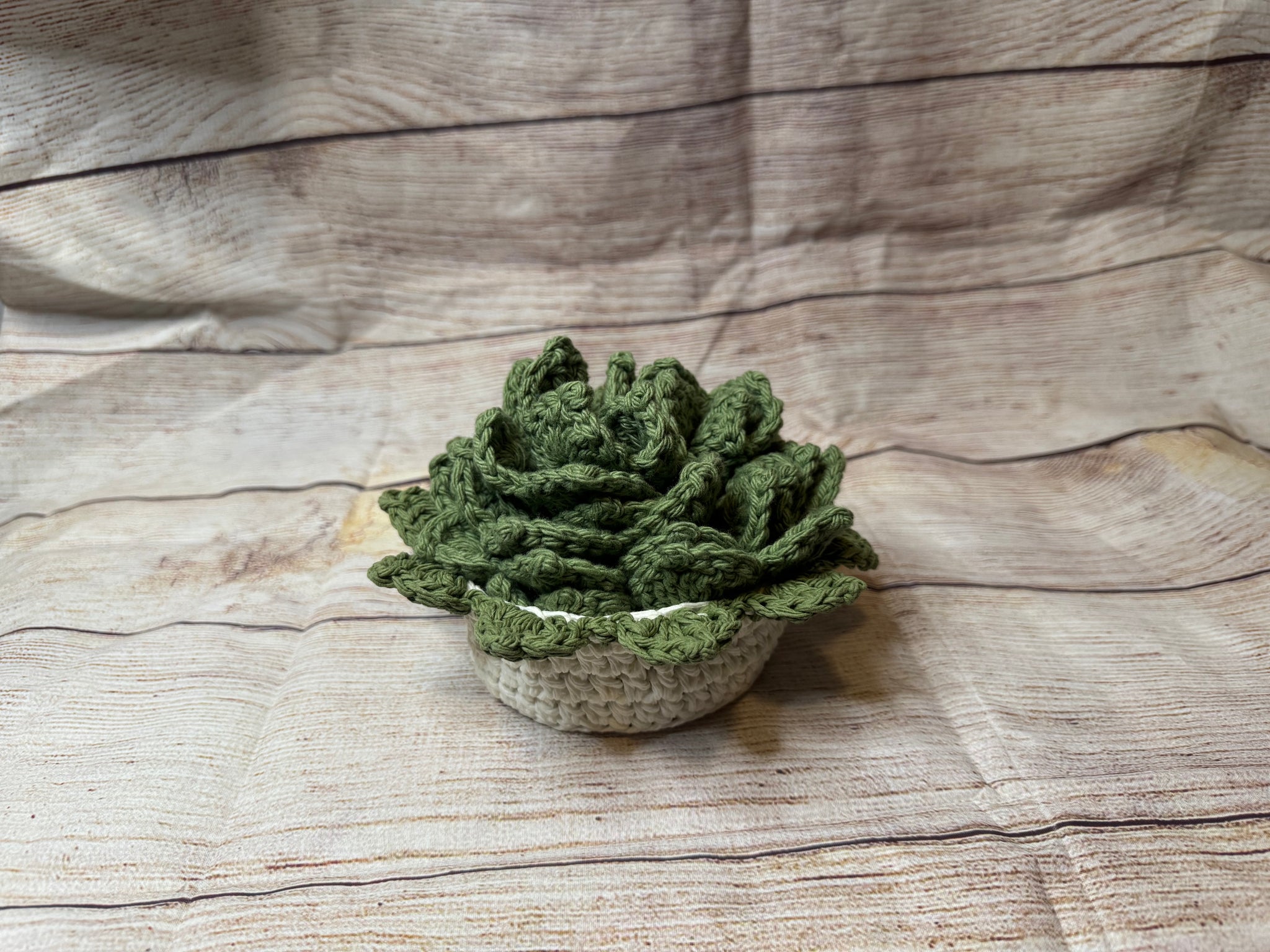 crochet succulent coaster Crochet Plant Coasters with Flower Pot Holder – Set of 4 – Vanessa's Crochet Creations
