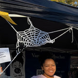 Crochet Spider Web with Spider