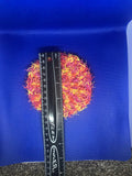 Simple Circular Dish Scrubby (2 pack)