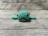 Mini Baby Sea Turtle