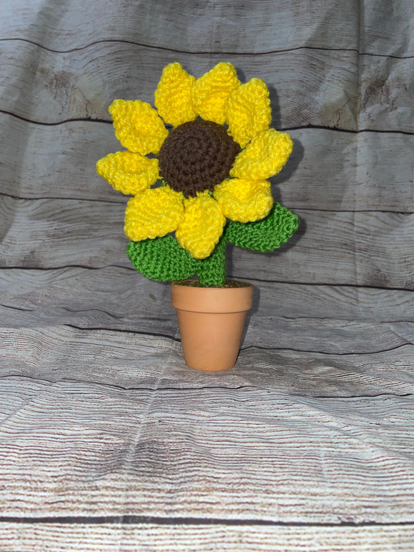 Flower in a Small Pot