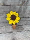 Flower in a Small Pot