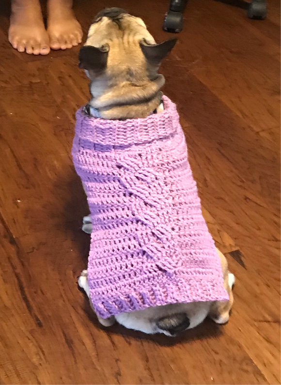Frenchie Sweater