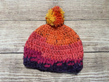 Toddler Beanie Hat w/ Pompom