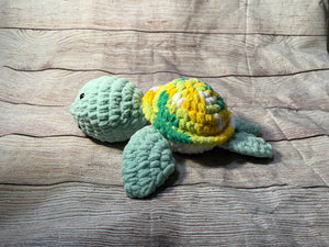 Large Baby Sea Turtle